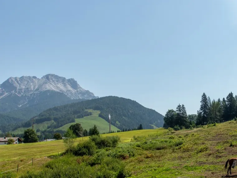 AUSSICHT
