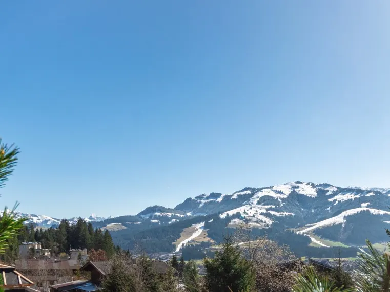 AUSBLICK