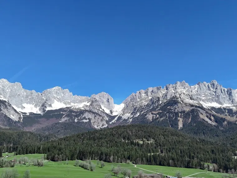 KAISERBLICK