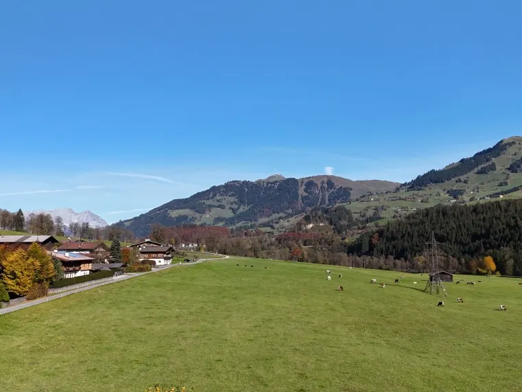 AUSBLICK