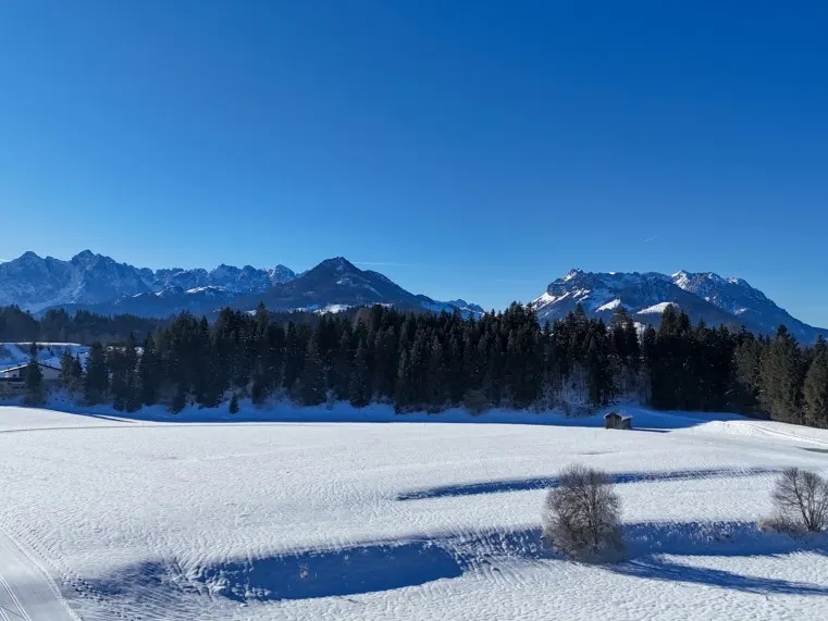 UMGEBUNG AUSBLICK