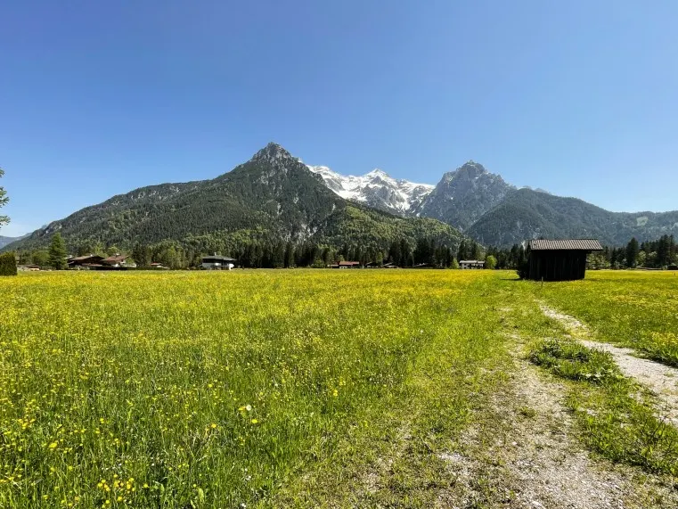 STEINBERGE