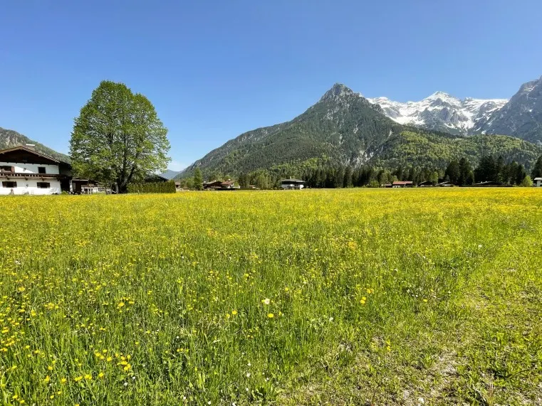 STEINBERGE