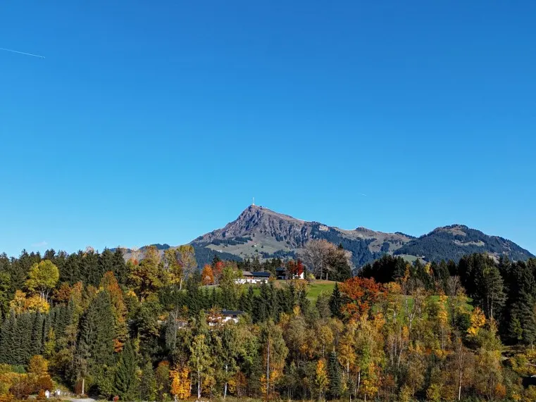HORNBLICK