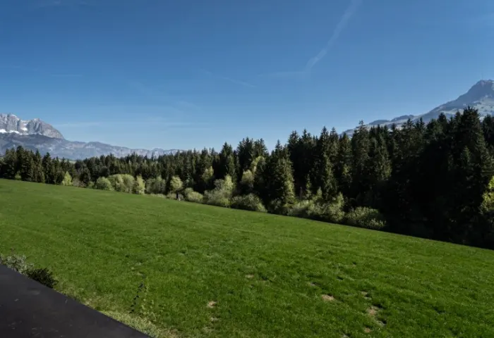 KITZBÜHELER HORN & WILDER-KAISER-BLICK