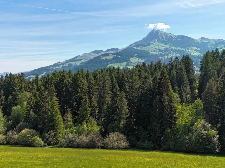 KITZBÜHLER HORN