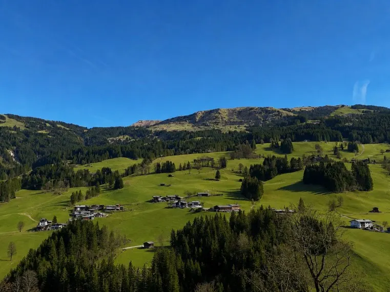 AUSBLICK