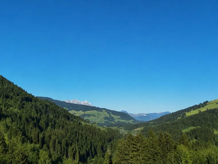 AUSBLICK