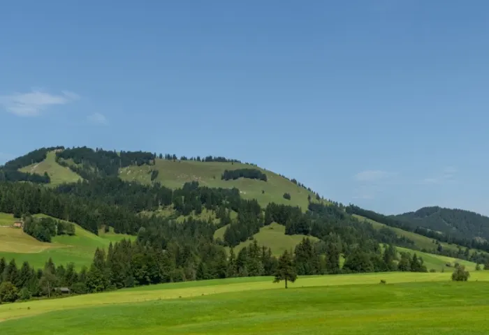 AUSBLICK