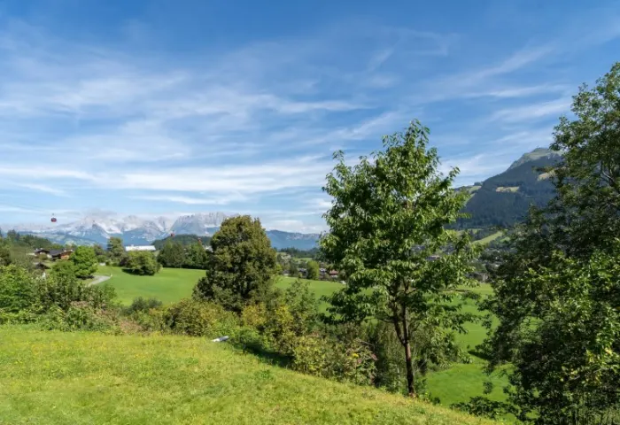 WILDER KAISER & KITZBÜHELER HORN