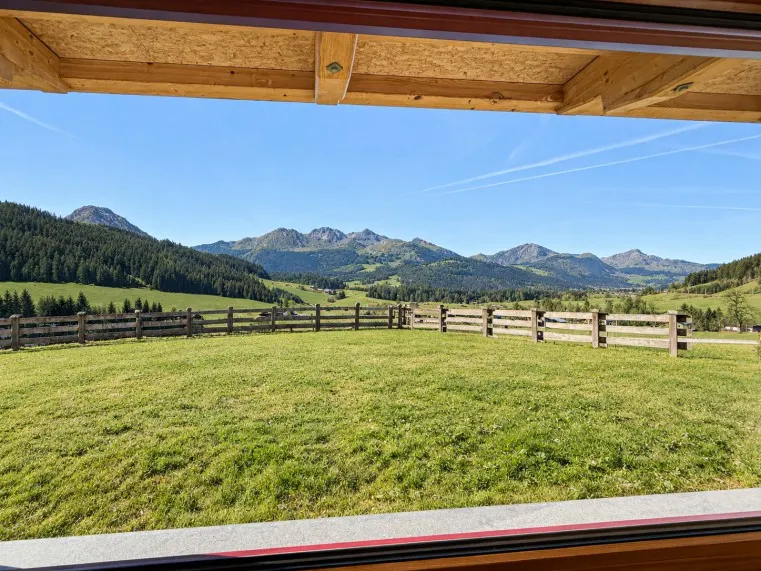 AUSBLICK